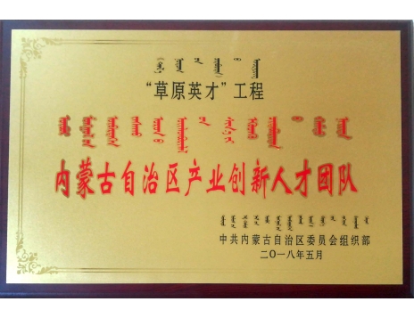 標題：內蒙古自治區(qū)產(chǎn)業(yè)創(chuàng)新人才團隊
瀏覽次數(shù)：5240
發(fā)表時間：2019-01-05