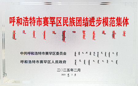 標題：呼和浩特分院榮獲呼和浩特市賽罕區(qū)民族團結(jié)進步模范集體稱號
瀏覽次數(shù)：1093
發(fā)表時間：2025-04-11
