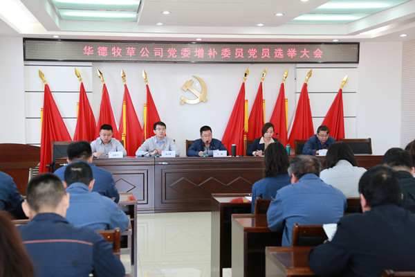 5、黨員大會(huì)_副本.jpg